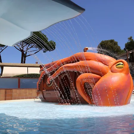 Htop Jadhe 4sup #htopbliss