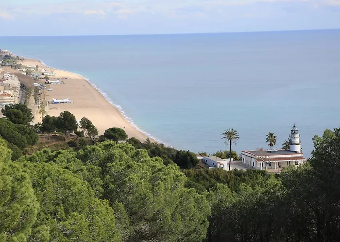 Htop Jadhe 4sup #htopbliss 4*